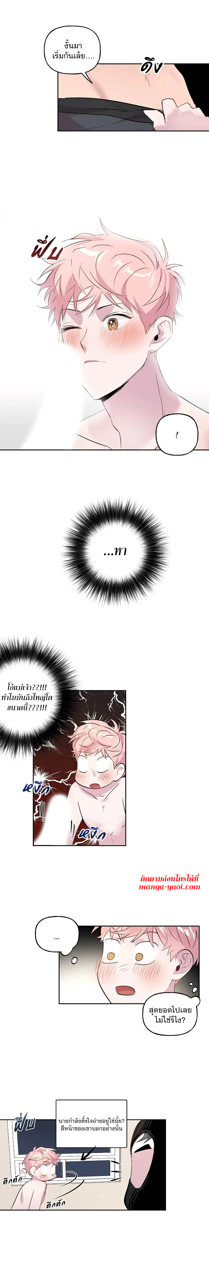 Assorted Wildness ตอนที่ 6 (4)